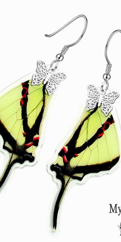 Pathysa Agetes Butterfly Wing Earrings – Handmade Bulk Gifts for Corporate Events