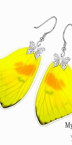 Phoebis Philea Butterfly Wing Earrings – Real Insect Jewelry Handmade from Nature