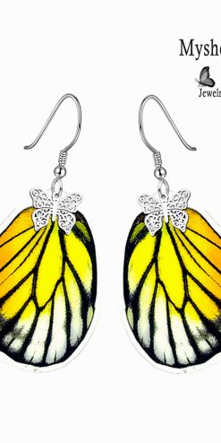 prioneris philonome butterfly wing earrings bulk wholesale closeup