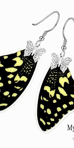 Handmade Papilio Demoleus butterfly wing earrings – real insect wing jewelry for business buyers and corporate gifting.
