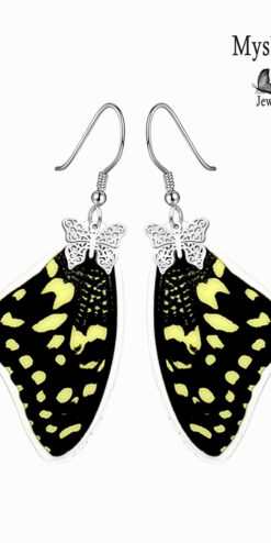 real insect wing jewelry papilio demoleus butterfly earrings business buyers closeup