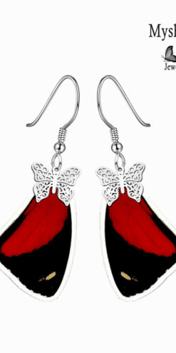trendy butterfly wing earrings callicore cyllene closeup