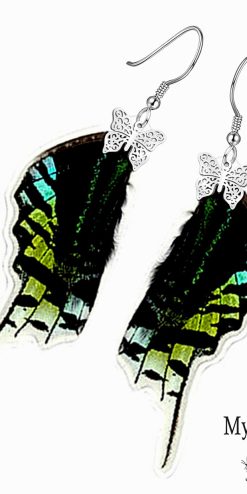 Urania Leilus Real Butterfly Wing Earrings – Handmade Jewelry for Nature Lovers
