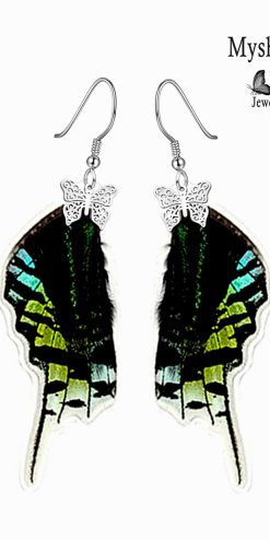 urania leilus butterfly earrings handmade closeup