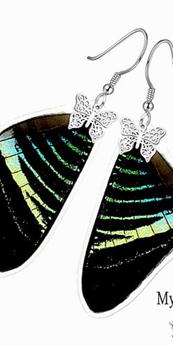 Urania Leilus Butterfly Wing Earrings – Sustainable Handmade Jewelry for Small Businesses