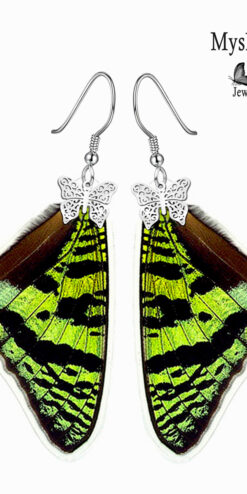 urania ripheus butterfly earrings handmade jewelry boutique closeup