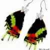Wholesale Urania Ripheus Butterfly Wing Earrings – Handmade Jewelry for Resellers and Shops