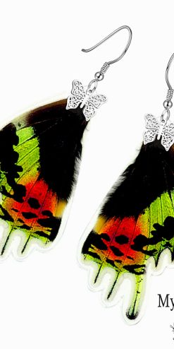 Wholesale Urania Ripheus Butterfly Wing Earrings – Handmade Jewelry for Resellers and Shops
