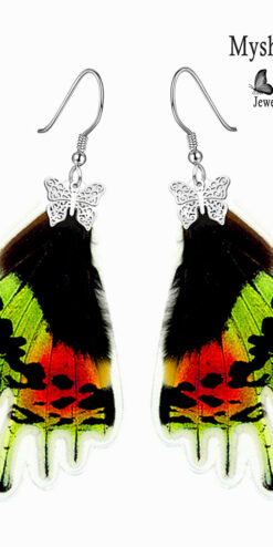 wholesale urania ripheus butterfly earrings handmade retail closeup