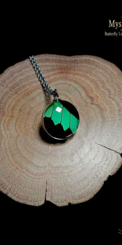 Handmade Papilio phorcas butterfly wing pendant under glass lens, 20mm necklace, unique anniversary gift jewelry for women