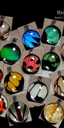 Special Offers & Bulk