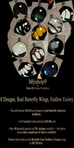 Affordable bulk butterfly wing necklaces, 10-piece set of real wing pendants for retailers, handmade nature-inspired jewelry