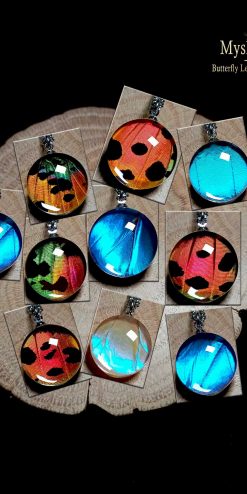 Bulk real butterfly wing pendants wholesale – Blue Morpho and Sunset Moth jewelry for boutiques