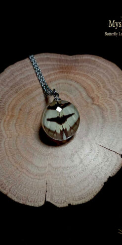Affordable Eurytides agesilaus butterfly wing pendants 20mm, handmade glass lens necklaces for bulk orders, parties, and gift giving