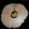 Handmade butterfly necklace with Papilio thoas real wing encased in glass – transformation jewelry for women