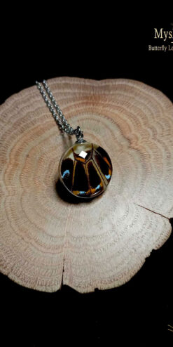 Handmade Papilio lormieri butterfly wing pendant under glass, 20mm lens necklace, collectible nature-inspired jewelry