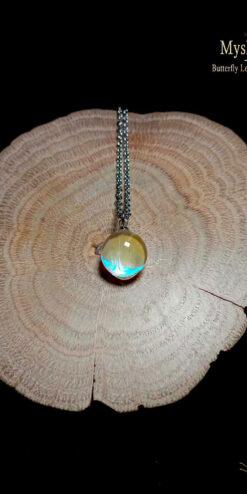 Collector’s edition butterfly wing necklace (12mm) with authentic Morpho sulkowskyi Blue Morpho wing under fine glass lens, mastercrafted nature jewelry pendant