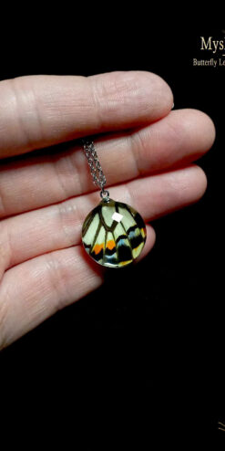 Eco-friendly 20mm Papilio xuthus butterfly wing pendant necklace, handmade real-wing jewelry, perfect gift for women