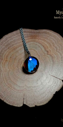 Real Doxocopa cyane butterfly wing pendant under 16mm glass lens, vibrant electric-blue wing, handmade nature-inspired pendant for butterfly lovers
