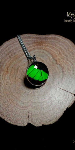 Handmade Papilio palinurus butterfly wing pendant under 20mm glass lens, emerald swallowtail necklace, unique eco-friendly jewelry gift for women