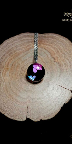 Real butterfly wing necklace (16mm) with Graphium weiskei purple spotted swallowtail wing under glass, handmade nature-inspired jewelry gift for women