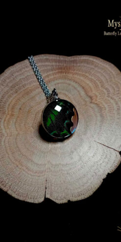 Real Papilio maackii spring form butterfly wing pendant with morpho edges, 20mm glass lens, handmade eco-friendly nature jewelry for women and collectors