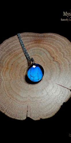Real Papilio ulysses wing pendant under 16mm glass lens, handmade blue butterfly necklace, perfect unique Christmas gift for butterfly enthusiasts