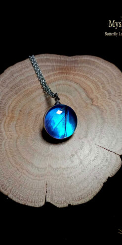 Handmade Blue Morpho butterfly necklace featuring real Morpho menelaus wing under glass lens pendant, nature inspired butterfly jewelry gift