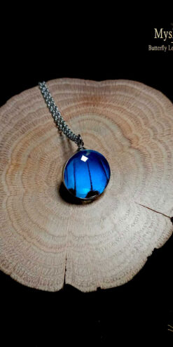 Real Papilio ulysses wing pendant under 18mm glass lens, handmade blue wing necklace, perfect nature-inspired gift for moms
