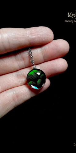 Handmade Papilio palinurus butterfly wing necklace with iridescent emerald green wing under glass dome, limited edition nature-inspired jewelry gift
