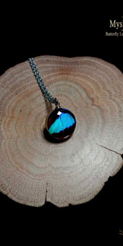 Real Doxocopa cherubina butterfly wing pendant under 16mm glass lens, iridescent turquoise butterfly jewelry, elegant nature-inspired necklace