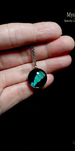 Limited availability handmade Papilio nireus butterfly wing necklace 18mm, eco-friendly pendant gift for butterfly lovers and collectors