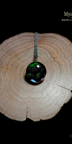 Limited stock real butterfly wing necklace (20mm) with Papilio palinurus emerald swallowtail wing under glass dome, handmade nature-inspired jewelry collectible