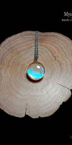 Luxury butterfly wing necklace (16mm) with authentic Morpho sulkowskyi Blue Morpho under glass dome, iridescent handmade nature jewelry pendant for collectors