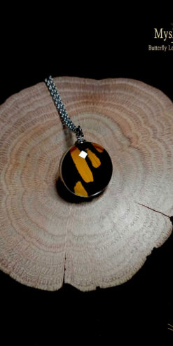 Handmade Papilio thoas butterfly pendant under glass, spiritual necklace for meditation and energy work, 20mm