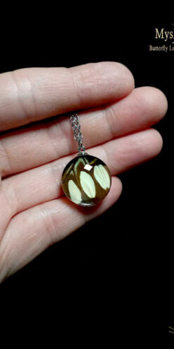 Real Papilio lormieri butterfly wing pendant 20mm, handmade glass lens necklace, bulk natural jewelry for resellers