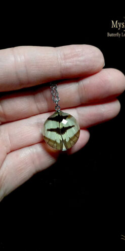 Handmade 20mm Eurytides agesilaus butterfly wing necklaces under glass, affordable wholesale nature-inspired jewelry for planners and resellers