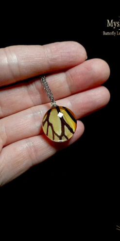 Real Danaus plexippus butterfly wing necklace, 20mm glass lens pendant, bulk wholesale jewelry for businesses and nature lovers