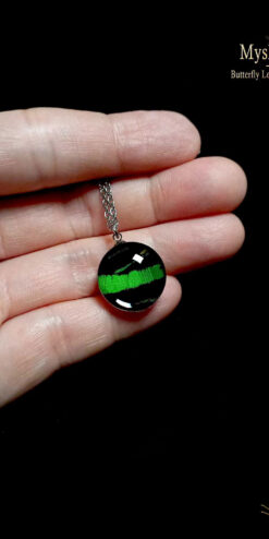 Handmade Urania leilus butterfly wing necklace under glass, 18mm wallet-friendly nature-inspired pendant, perfect gift for butterfly lovers