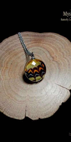 Papilio androgeus real butterfly wing necklace 20mm, glass lens pendant, unique nature-inspired gift for her