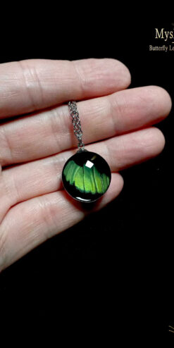 Panacea prola real butterfly wing necklace 20mm, glass lens pendant, handmade eco-friendly jewelry, bulk order for boutiques and nature shops