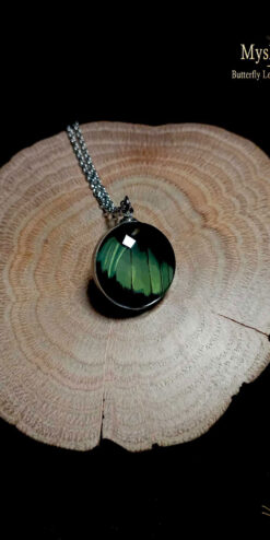 Handmade Panacea prola butterfly wing pendant 20mm, real wing under glass lens, bulk nature jewelry for green and nature stores