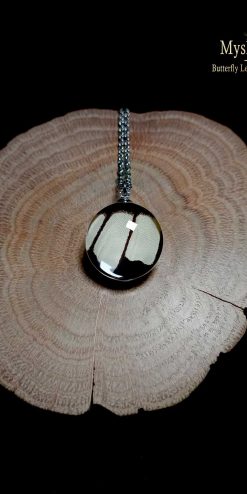 Papilio iswara butterfly wing necklace – handmade glass pendant for women