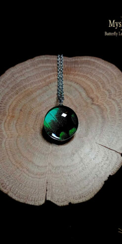 Bespoke real butterfly wing pendant (18mm) with authentic Papilio lorquinianus wings under glass lens, artisan handmade nature-inspired jewelry, premium gift for her