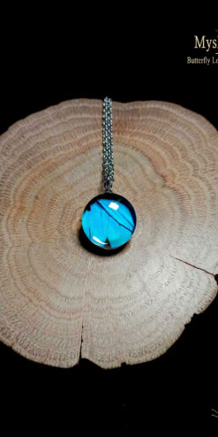 Bulk butterfly wing necklaces (16mm) with real Papilio lorquinianus wings under glass pendant, affordable event favor jewelry for parties, weddings, and boutique giveaways