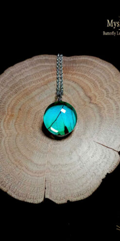 Revolutionary butterfly wing necklace (18mm) with real Papilio lorquinianus wing under glass lens, handmade natural jewelry pendant symbolizing transformation and hope