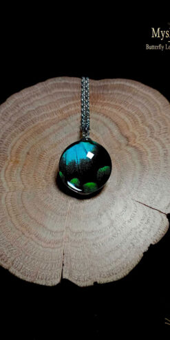 Handmade real butterfly wing necklace (20mm) with authentic Papilio lorquinianus wing under glass, unique nature-inspired pendant, perfect gift for collectors and butterfly lovers