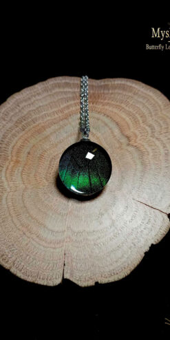 Papilio maackii butterfly wing necklace (20mm) with real iridescent green summer-form wing under glass, handmade nature-inspired jewelry gift for her