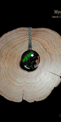 Handmade Papilio maackii spring form butterfly wing necklace under glass, 20mm pendant, iridescent greenish-blue real wing jewelry, nature-inspired gift for women