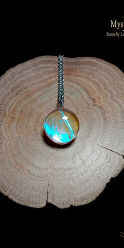 Rare Blue Morpho butterfly necklace (18mm) with authentic Morpho sulkowskyi wing preserved under fine glass lens, handmade nature-inspired jewelry pendant for collectors